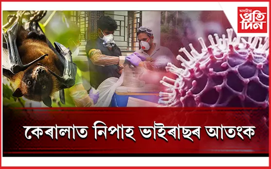 নিপাহ ভাইৰাছত আক্ৰান্ত হৈ ১৪ বছৰীয়া কিশোৰৰ মৃত্যু...
